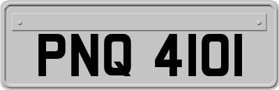 PNQ4101