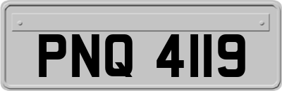 PNQ4119