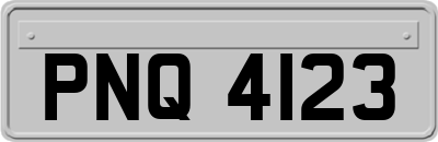 PNQ4123