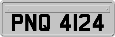 PNQ4124