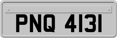 PNQ4131