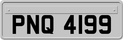 PNQ4199