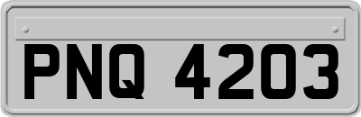 PNQ4203