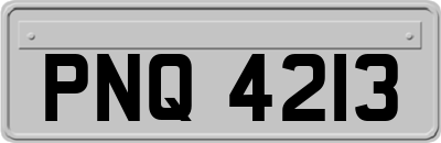 PNQ4213