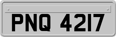 PNQ4217