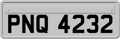 PNQ4232