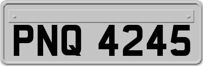 PNQ4245