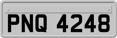 PNQ4248