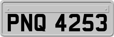 PNQ4253