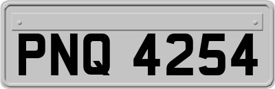 PNQ4254