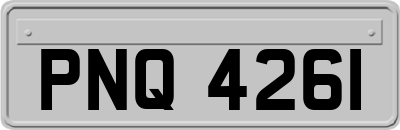 PNQ4261