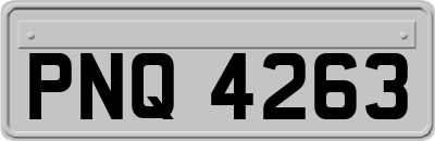 PNQ4263