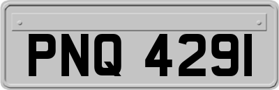 PNQ4291