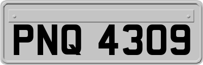 PNQ4309
