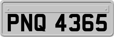 PNQ4365