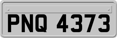 PNQ4373