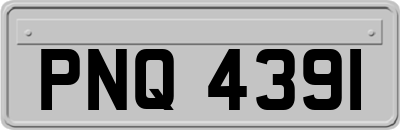 PNQ4391