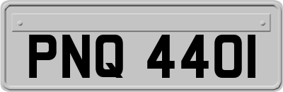 PNQ4401