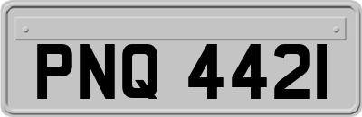 PNQ4421