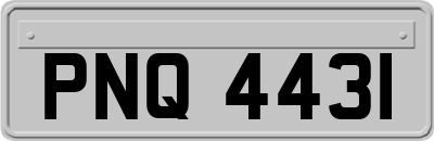 PNQ4431