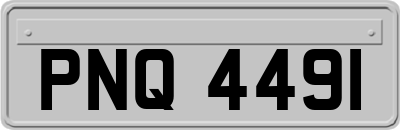 PNQ4491