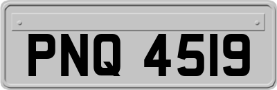 PNQ4519