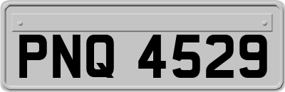 PNQ4529