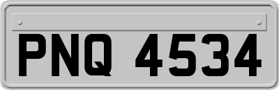 PNQ4534
