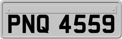PNQ4559