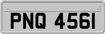 PNQ4561