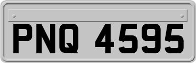 PNQ4595