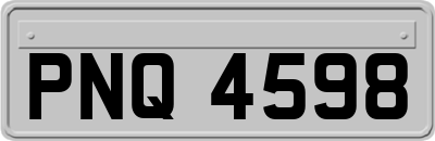 PNQ4598