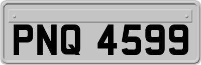 PNQ4599