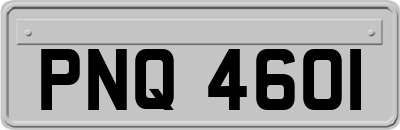 PNQ4601