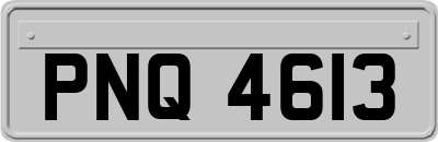 PNQ4613