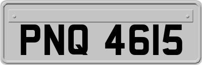 PNQ4615