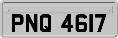 PNQ4617