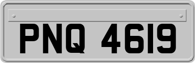 PNQ4619