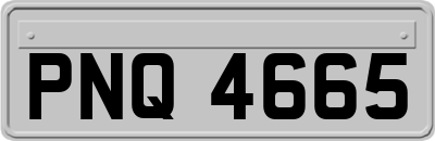 PNQ4665