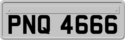 PNQ4666