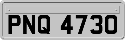 PNQ4730