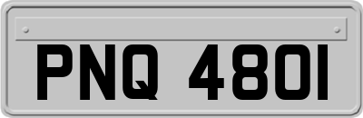 PNQ4801