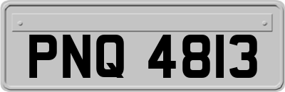 PNQ4813