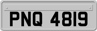 PNQ4819