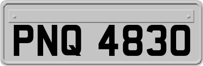 PNQ4830