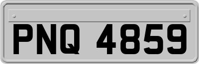 PNQ4859