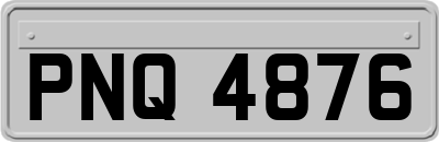 PNQ4876