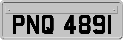 PNQ4891