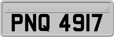 PNQ4917