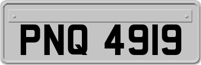 PNQ4919